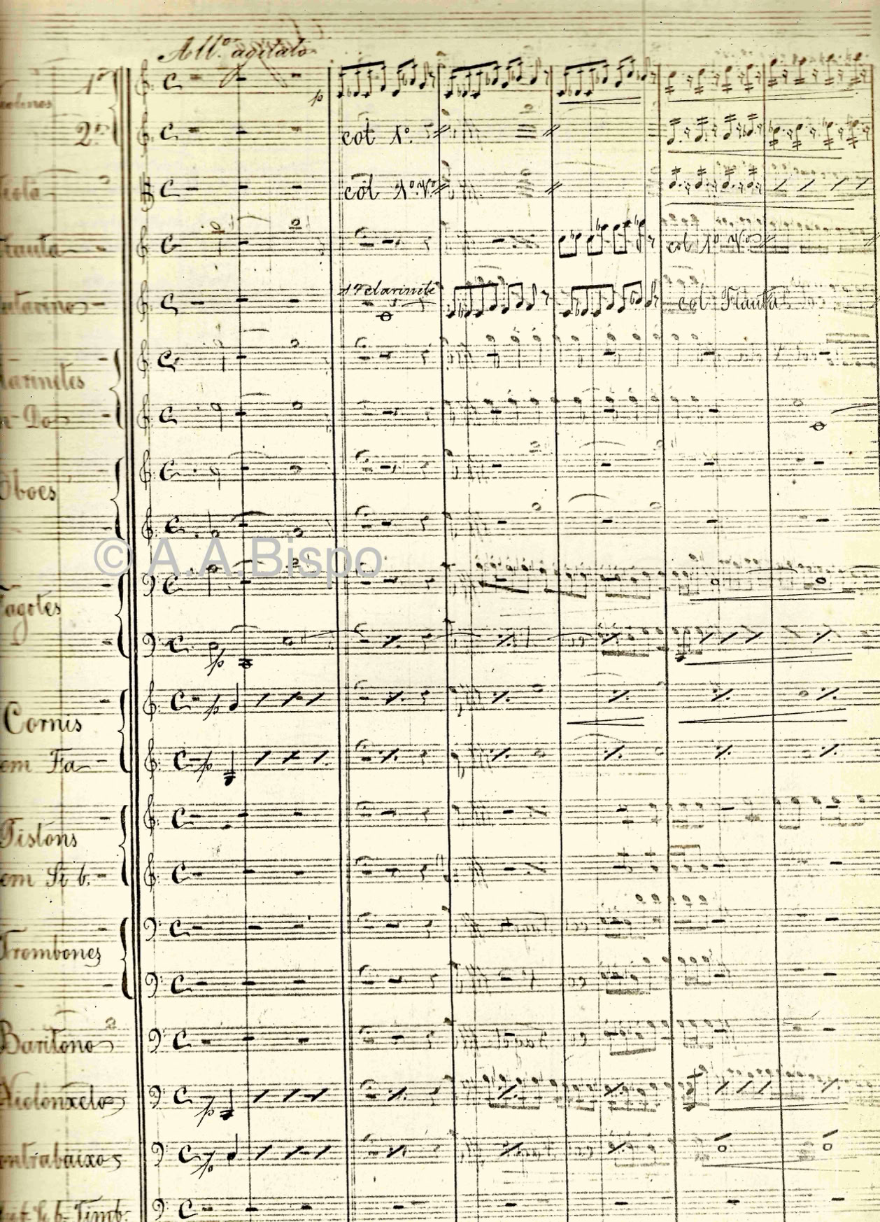 Sinfonia a grande orquestra Brasileira, de J. Pedro Gomes Cardim, músico português que atuou no Rio Grande do Sul à época da Guerra do Paraguai, transferindo-se depois para S. Paulo. Desempenhou importante papel na música sacra em S.Paulo. Os seus filhos marcaram a vida artística e o ensino em São Paulo durante muitas décadas do século XX. Pesquisas de A.A.Bispo da década de 1960.Acervo A.A.Bispo. Copyright